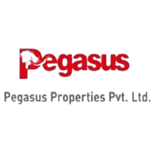 Pegasus Properties Private Limited